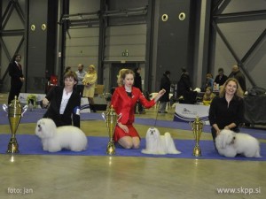 Top TOY 2011